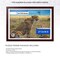 ArtToFrames 27.5x19.6 INCH / 70x50 CM Puzzle Frame for 1000 piece Puzzles.This 1.25 Inch Custom MDF Frame for Puzzles Comes with Economy Acrylic, Available in Multiple Colors